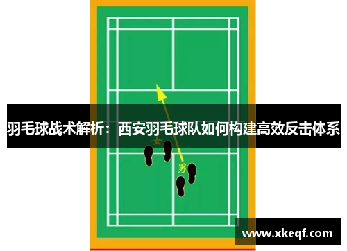 羽毛球战术解析：西安羽毛球队如何构建高效反击体系
