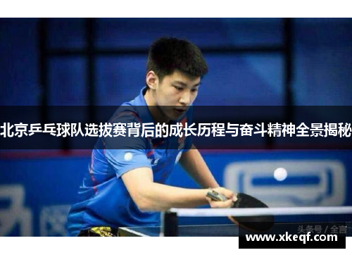 北京乒乓球队选拔赛背后的成长历程与奋斗精神全景揭秘