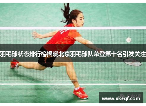 羽毛球状态排行榜揭晓北京羽毛球队荣登第十名引发关注