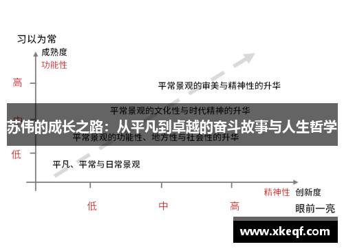 苏伟的成长之路：从平凡到卓越的奋斗故事与人生哲学